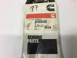 Cummins 178617 Belt