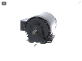 Leeson 113846.00 1 1/2 HP AC Motor 208-230/460 V Phase 1725 Rpm 4P 56H Frame