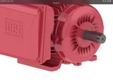 WEG 00318ES1DFD184T-W22 Motor 3 HP 182/4T 230V Closed enclosure 1745 Rpm