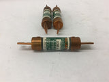 Reliance ECNR 80 Dual Element Fuse 80 Amp 250 Volt Lot of 3