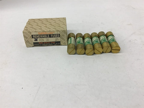 Buss REN 30 Super-Lag Renewable Fuses 30 amp 250 volts Box of 6