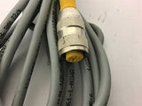 Turck RK 4.2T-6 U2172 Euro Fast Cable Lot of 3