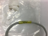 Johnson Controls A99BC-25C Encapsulated Thermometer