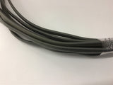 Essex 10-2 552682M with Ground Type UF-8 600V 40' Length