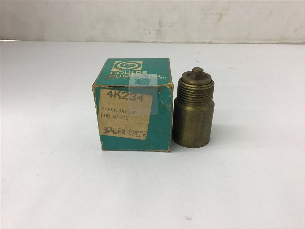 Goulds 4K234 Check Valve