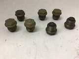 Magnetic Plugs 1/2" MNPT Lot Of 7