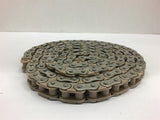 50SS Stainless Steel Roller Chain 7 Feet