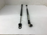 Tochigiya Gas Shock Lot Of 2