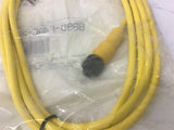 Allen-Bradley 889D-F4AC-2 4 Pin DC Micro Straight Cordset