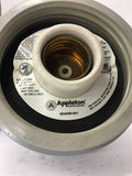 Appleton V51 Light Fixture with Guard 150 Watts