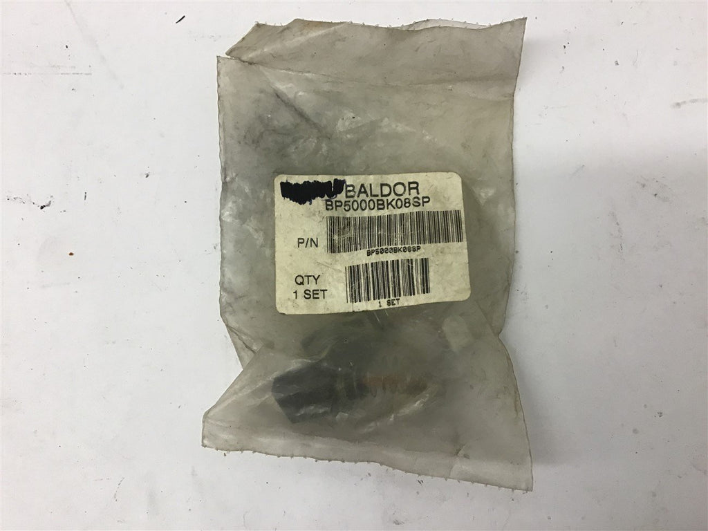 Baldor BP5000BK08SP DC Motor Brushes Lot of 2