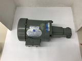 Doerr LR13758 1/3 HP AC Motor 208-220/440 Volts 1725 Rpm w/ PFG-30-C-10A3 Pump