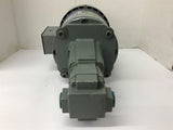 Doerr LR13758 1/3 HP AC Motor 208-220/440 Volts 1725 Rpm w/ PFG-30-C-10A3 Pump
