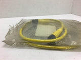 Daniel Woodhead 883030D01M005 AWM 2661 E41 250V 4Amps Cable --Lot of 2