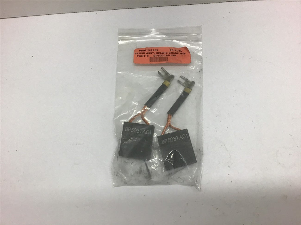 Baldor BP5031A01SP Brush Set