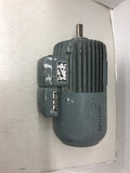 ERA DNI 80 B-42 0.4 KW AC Motor 380 Volts 1.15 Amps