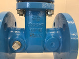 Watts 2 1/2” Cast Iron 200 CWP Flanged Gate Valve