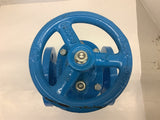 Watts 2 1/2” Cast Iron 200 CWP Flanged Gate Valve