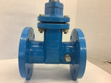 Watts 2 1/2” Cast Iron 200 CWP Flanged Gate Valve