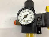 Excelon B72G-2AK-QD3-RMG 250 Psi Regulator