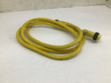 Daniel Woodheads LL22035 600V