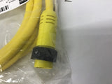 Brad Connectivity 1300060159 6' L 2P Male Straight 16/2 AWG PVC Cord