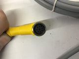 Turck U99-16263 Euro Fast Cordset 6' Long