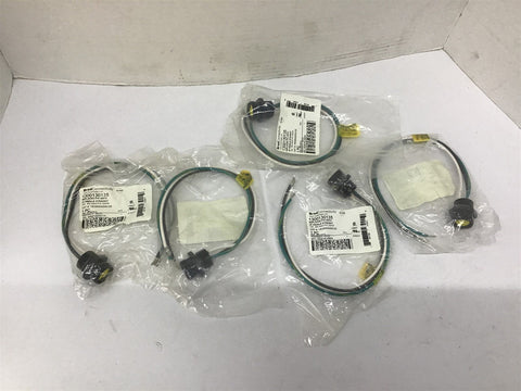 Brad Connectivity 1R3004A20A120 3P Female Straight Connector Cable 12" Lot Of 5