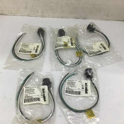 Brad Connectivity 1R3004A20A120 3P Female Straight 12" 16 AWG Lot Of 5
