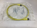 Allen-Bradley 889D-F4AEDM-1 Ser. B QD Cordset 4 Pin DC Micro 1 Meter