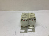 Bussmann 170E3846 Fuse 100 A 900 V Lot Of 2