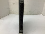 Reliance 57410 Isolated Analog Output