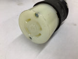 Hubbell HBL2733 30A 480V 4 Prong Receptacle/ 8' CCI SEOPRENE 12AWG 4/C SEOOW