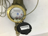 Seametrics 25MM Bronze Flow Meter
