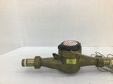 Seametrics 25MM Bronze Flow Meter
