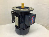 Leeson 192244.00 IEC Premium Efficent Metric Motor AC Motor