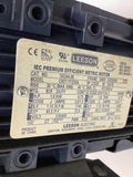 Leeson 192244.00 IEC Premium Efficent Metric Motor AC Motor