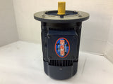 Leeson 192244.00 IEC Premium Efficent Metric Motor AC Motor