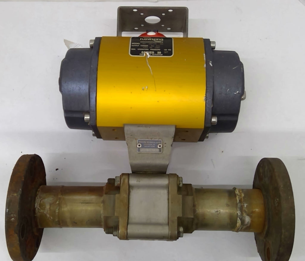 Flowserve Model 25 39 SN RG 80 PSI Valve