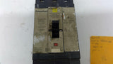 Square D FGA241004 480V 100A 2P Circuit Breaker