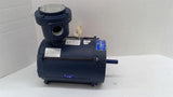 Leeson AST17EC23H AC Motor 1/3 Hp 208-230/460 V 1800 Rpm 4P Fr 56C 3 Ph 60 Hz TE
