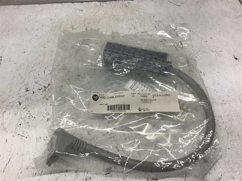 Allen Bradley 1492-Cable 003X Series C 0.3 M Long