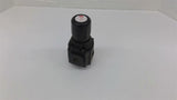 Dayton 4ZM18 300 PSIG 21 Bar 150 PSIG 10.3 Bar 175 Air Regulator