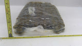 Tsubaki RS60 RIV Chain 10 Ft.