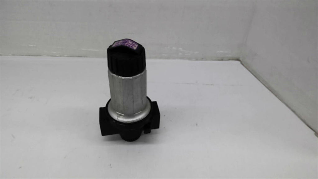 Master Pneumatic Ports R 100 Regulator