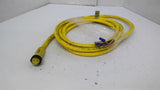 Daniel Woodhead 42803 11.5 Ft Female Plug 7 Pin LL22035 CSA ST 105 C 600 V FT2