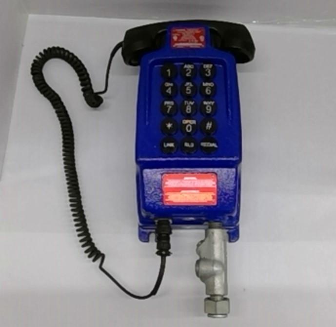 Guardian Telecom 401 Telephone Enclosure 4