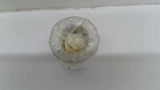 AIT Standard TN065 Steel Bearing Locknut 1-5/16" Thread Lot Of 10