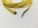 Turck PKG 4M-2 Cordset 125 V 2 Amps
