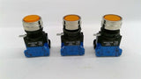 Idec HW4L-M1F10QD A-24V Pushbutton Lot Of 3